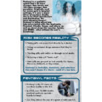 RACK-JTF-110 Fentanyl and Fake Pills WEB COVER